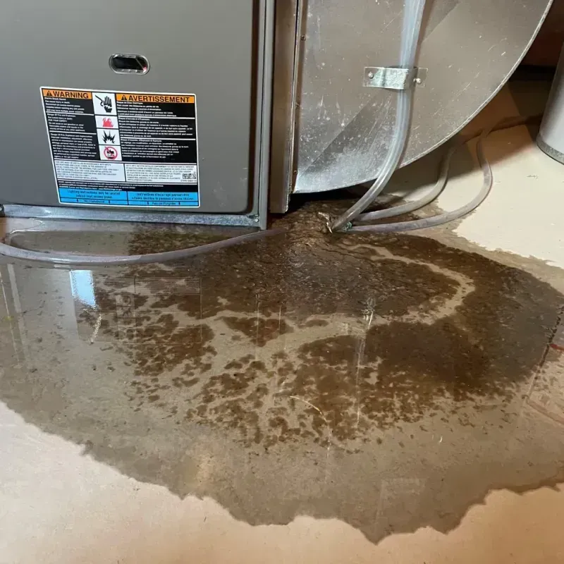 Appliance Leak Cleanup in Palmyra, PA